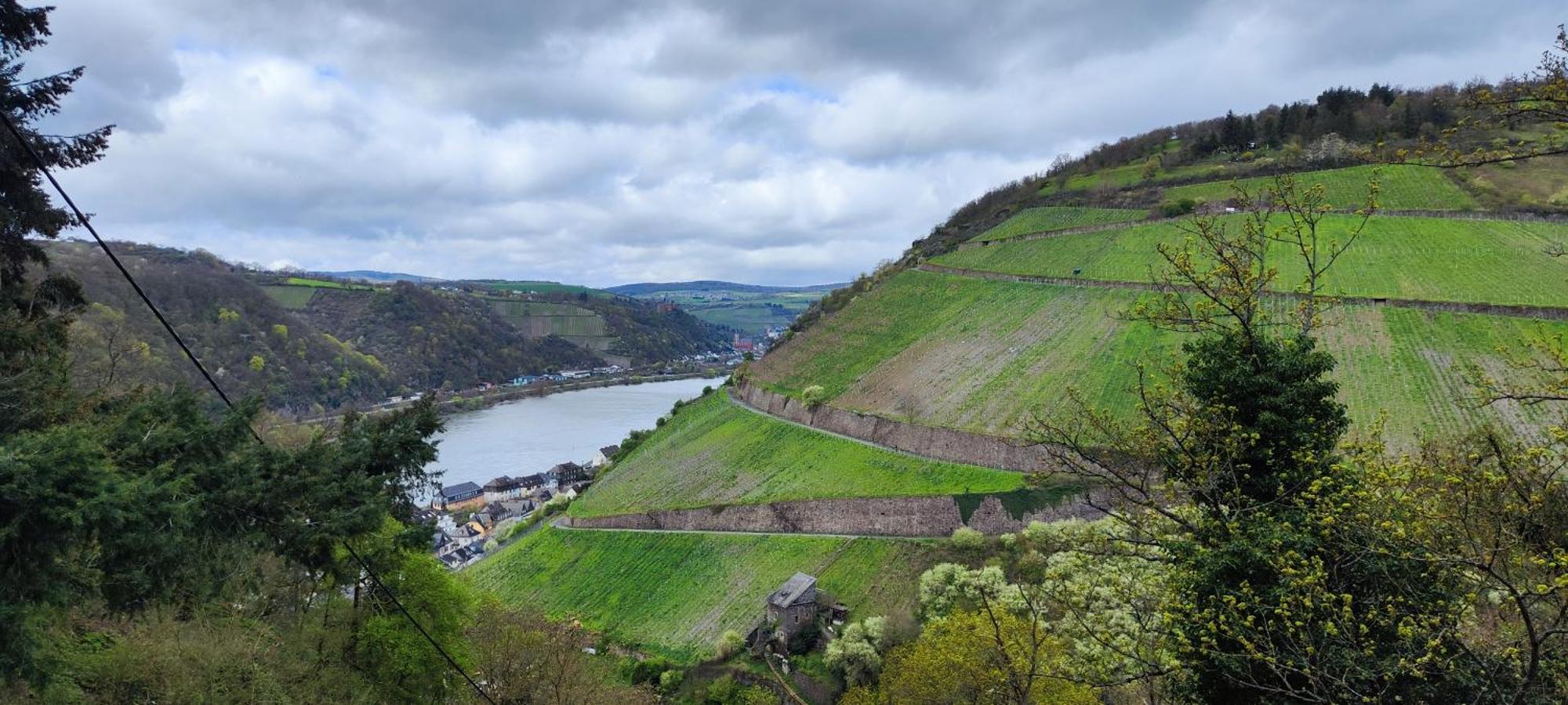 Gemuetliche Wohnung, Kueche, Bad, Netflix, Rheinblick Kaub Bagian luar foto